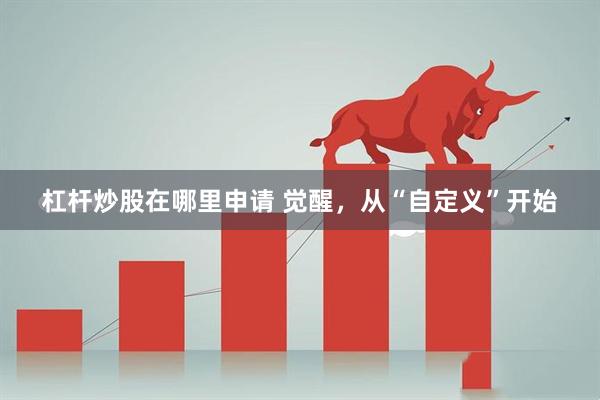杠杆炒股在哪里申请 觉醒，从“自定义”开始